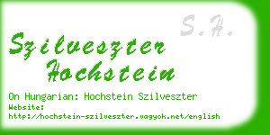 szilveszter hochstein business card